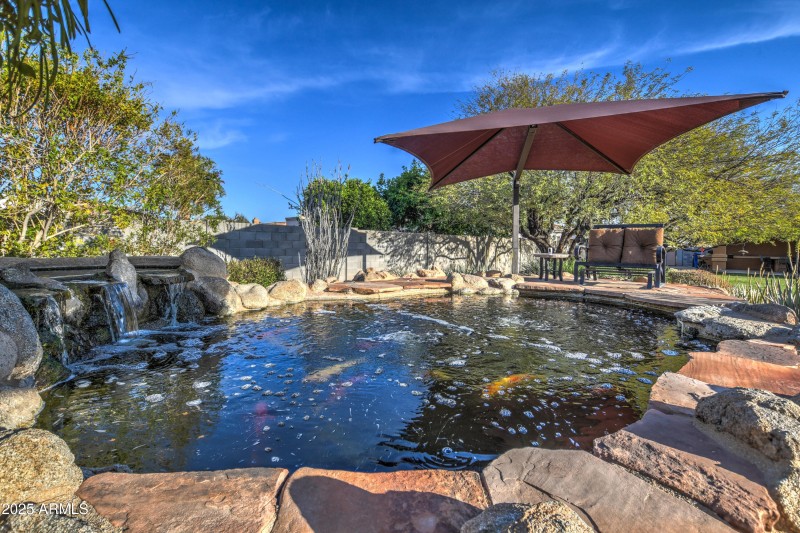 Koi Pond