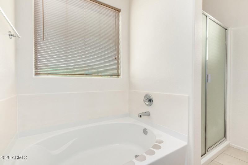 Primary Bathroom 3