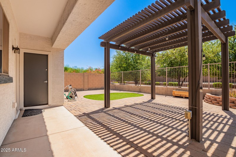 Backyard 3