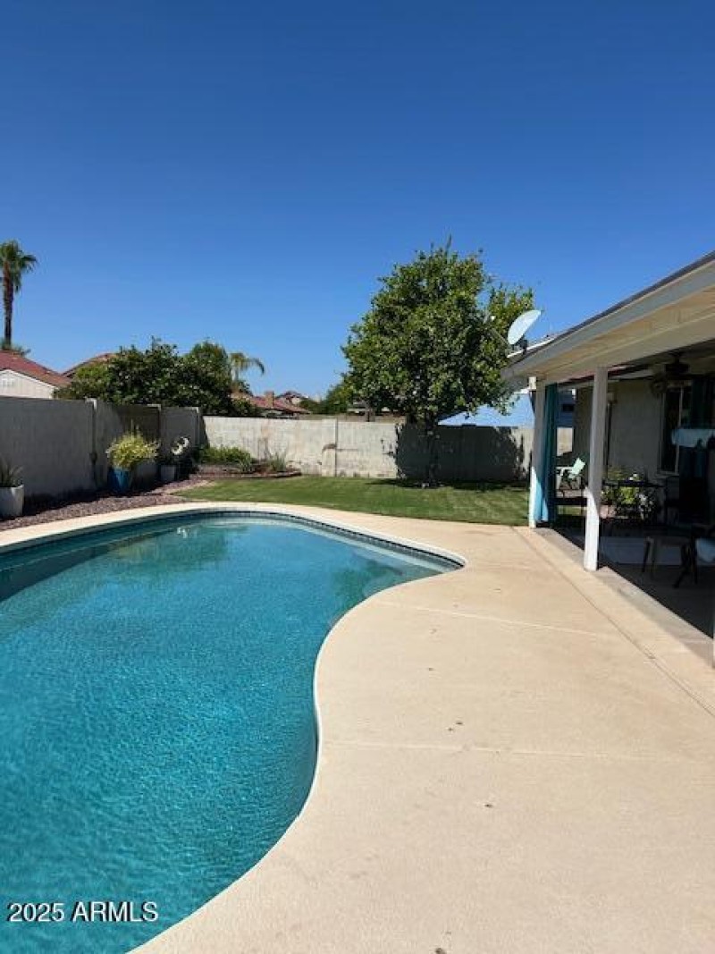 Back Yard with pool