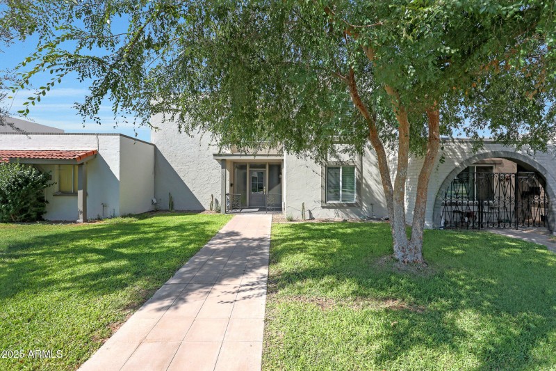 Grass front yard