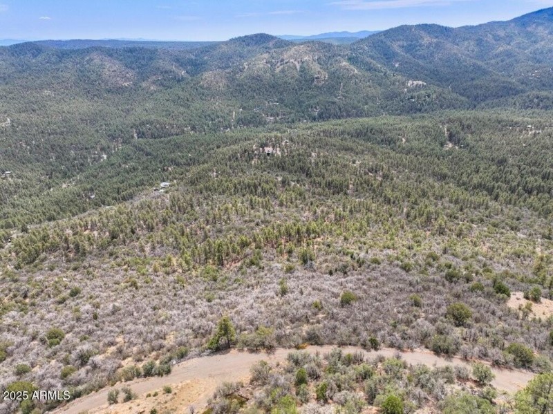 Aerial View 2