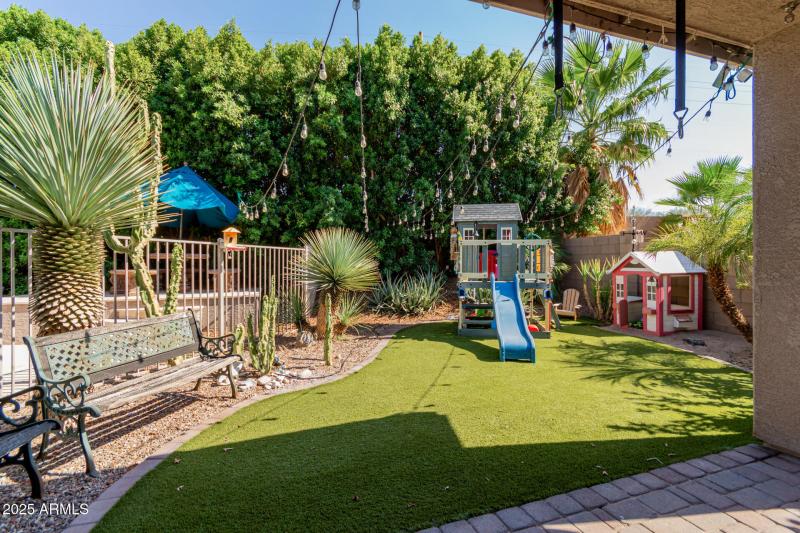 Backyard