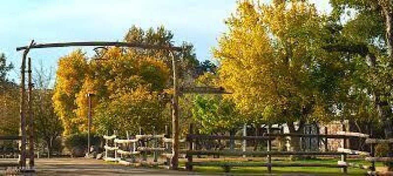 Campus Entry