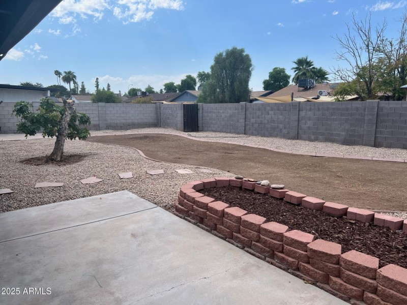 Backyard 2
