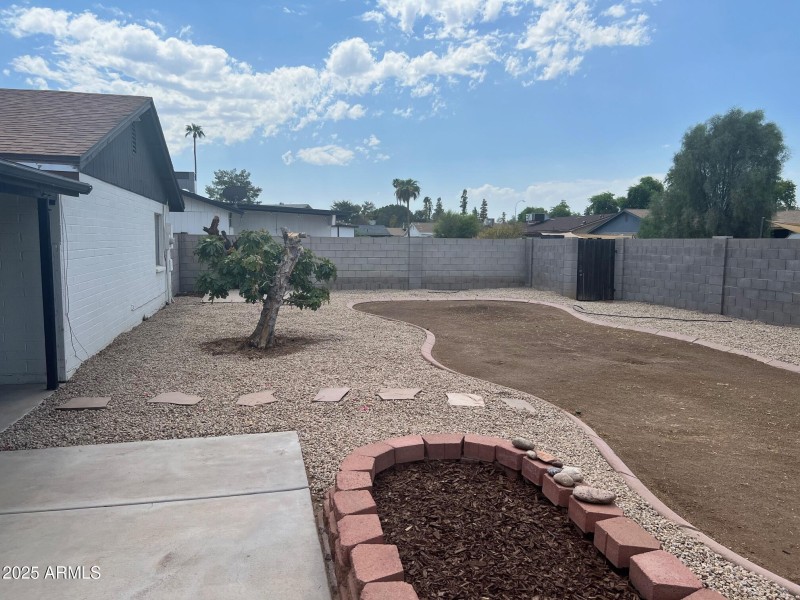 Backyard 5