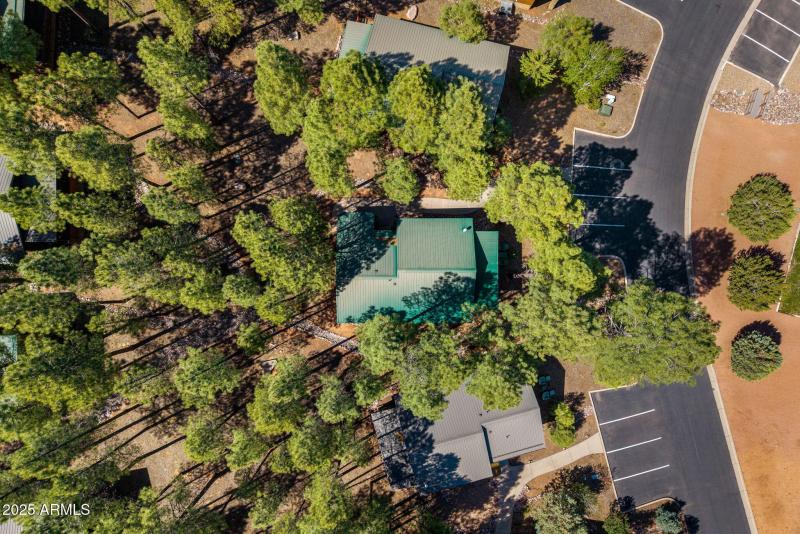 4760TatankaLoop-ShowLow-AZ-27