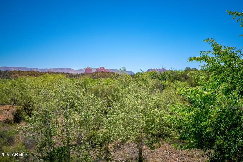 Cathedral Rock