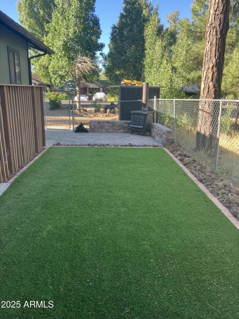 Backyard #2