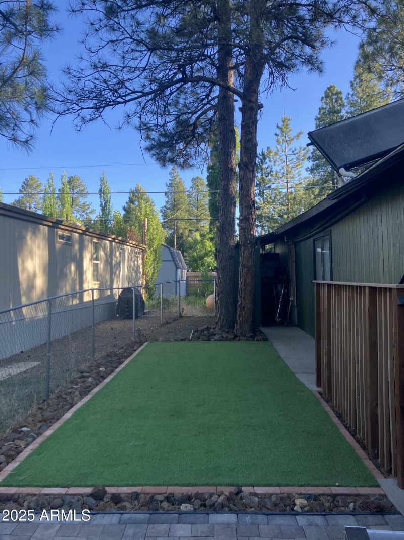 Backyard #3