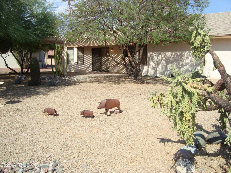 large Semi Private Backyard
