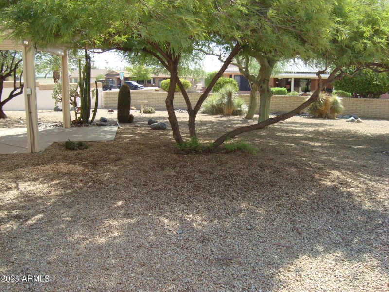 DSC07498