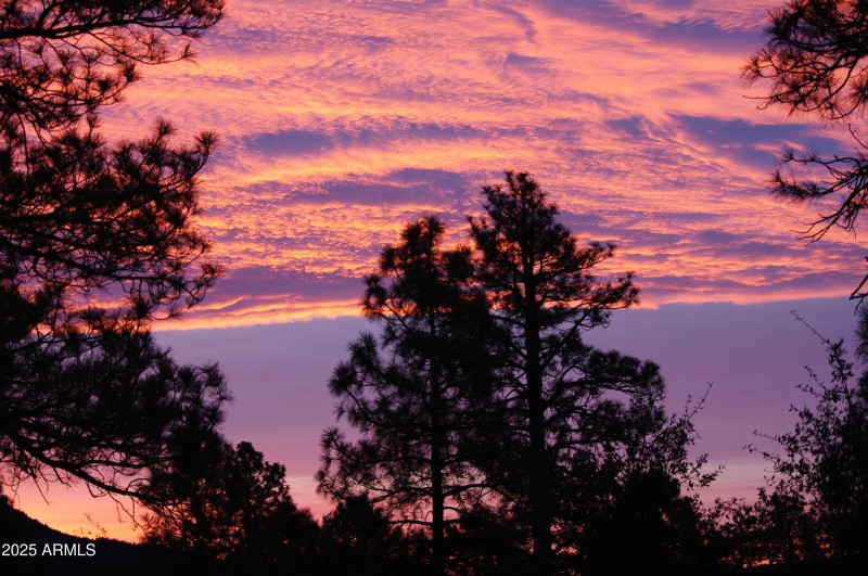 Sun Rise 4