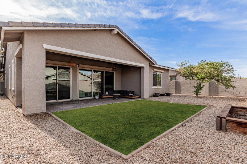 Backyard