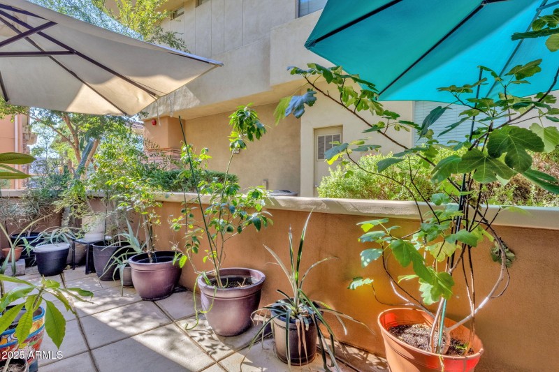 Patio