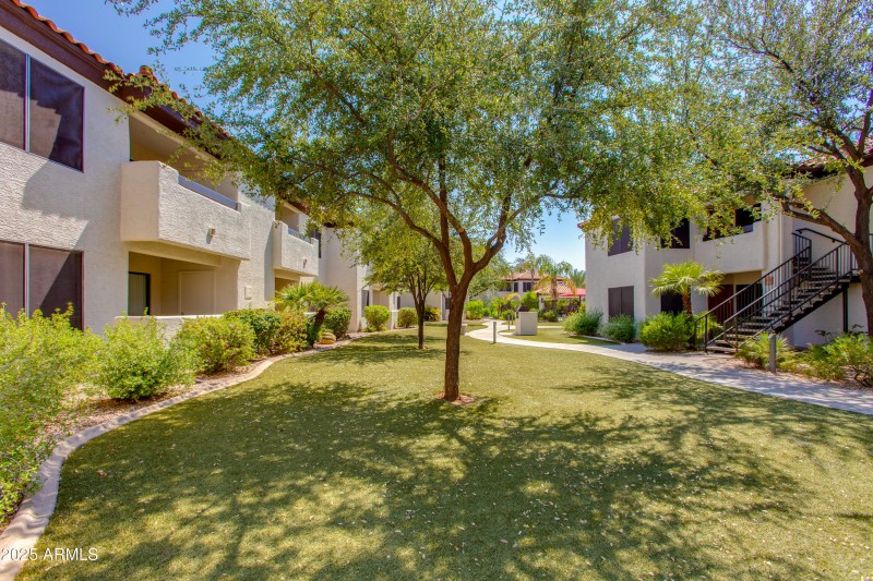 Grassy Areas
