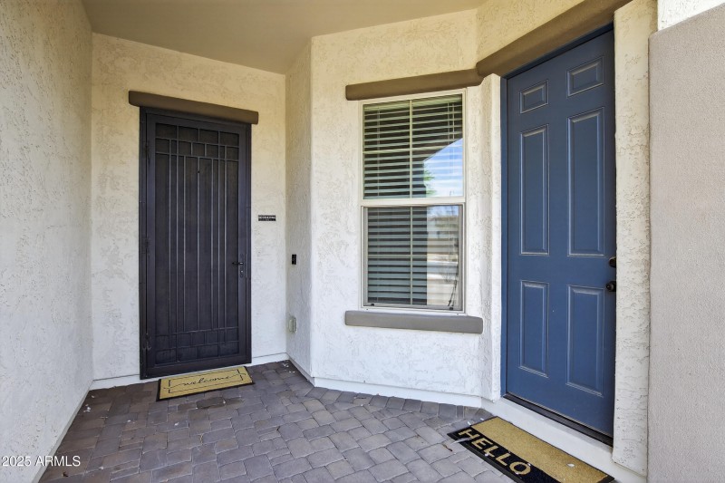 Custom Front Door