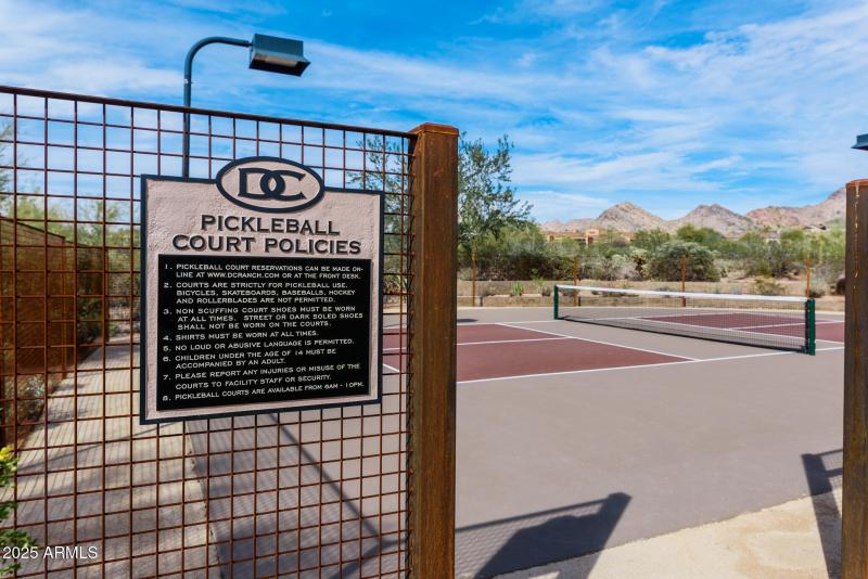 Community Pickle Ball II
