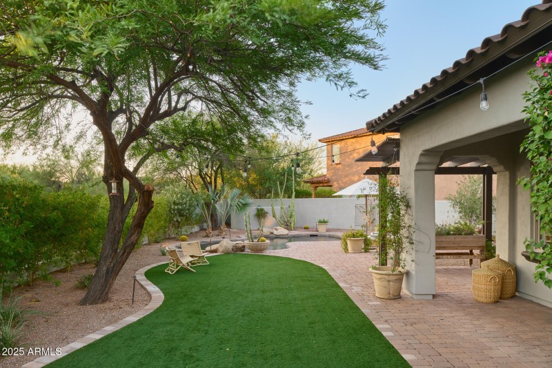 Backyard