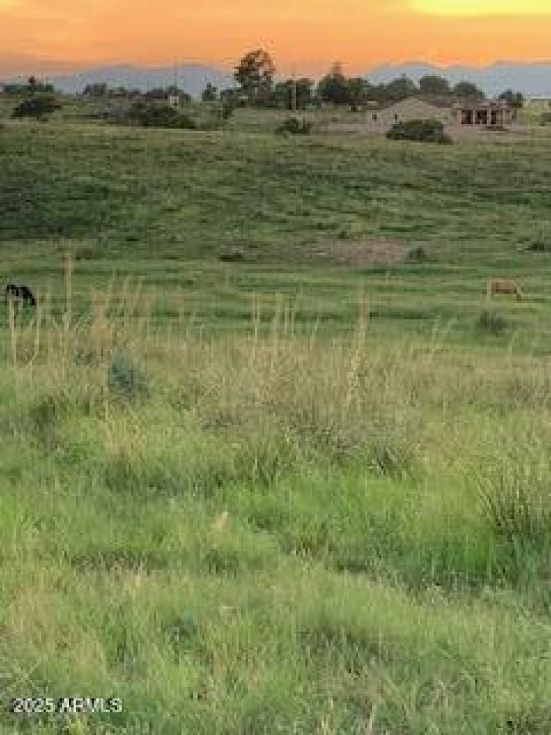 IMG_1022