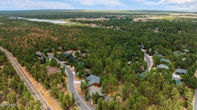 Aerial View with Lake