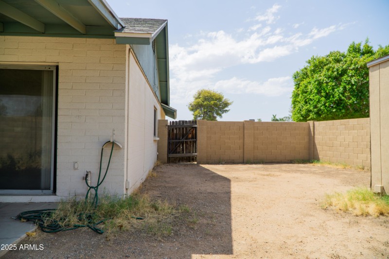 (39) Backyard