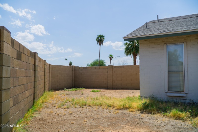 (42) Backyard