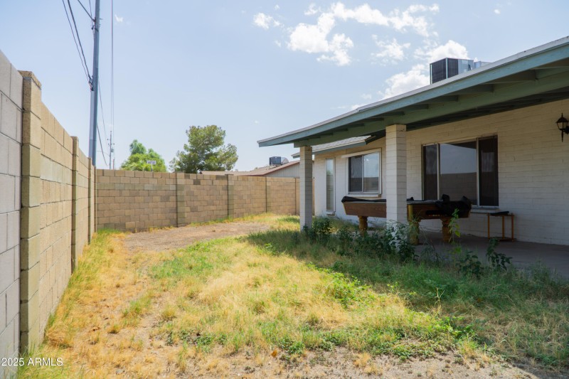 (41) Backyard
