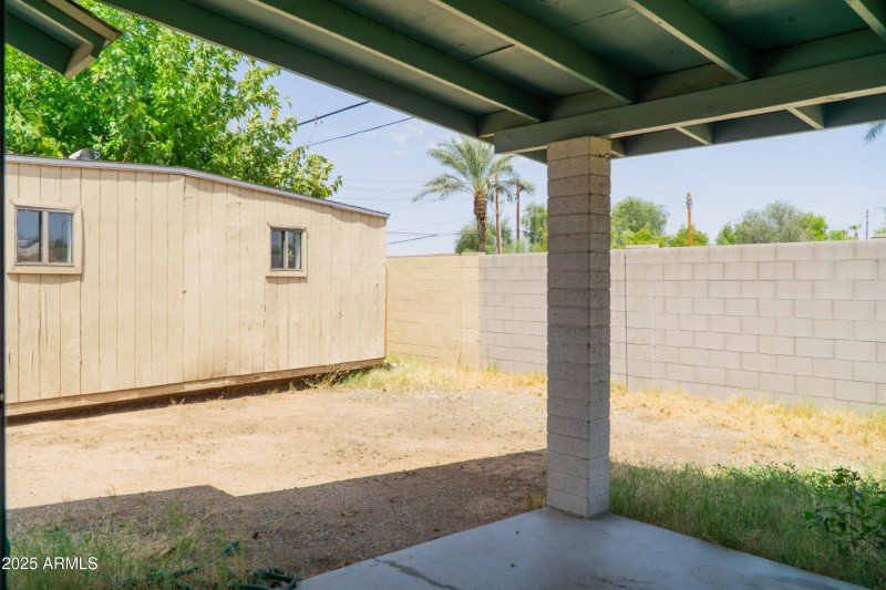 (37) Backyard