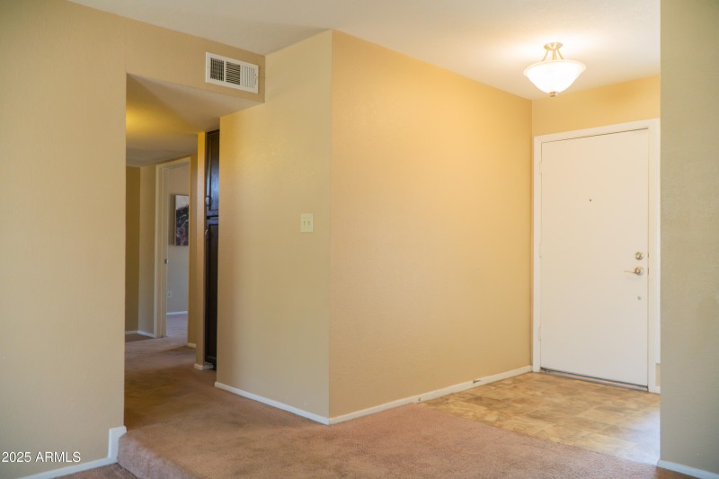 (20) Entry and Hall