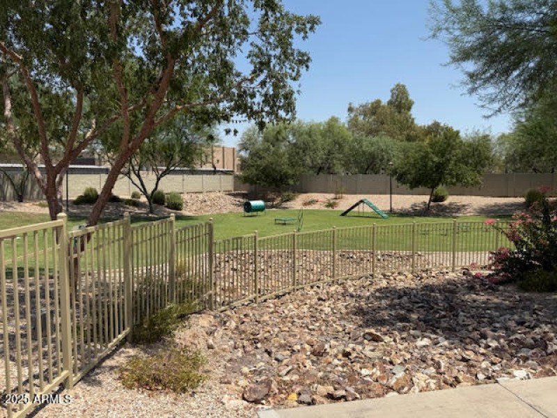 DOG PARK 2