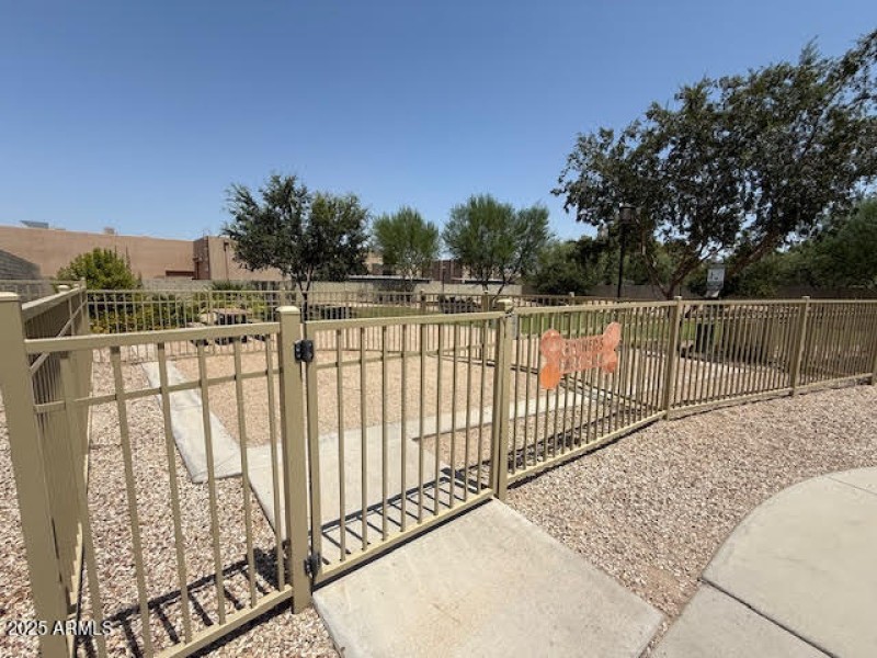 DOG PARK