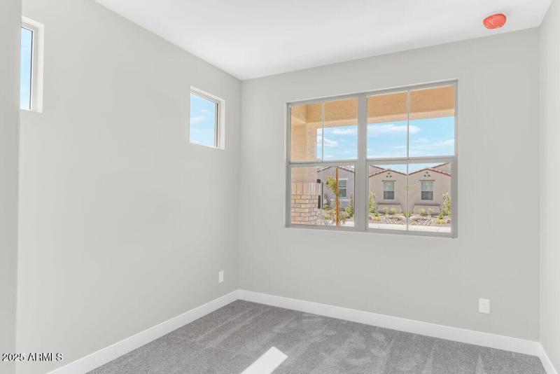 hj-az-phoenix-cantamia-dolce-lot-30151-b