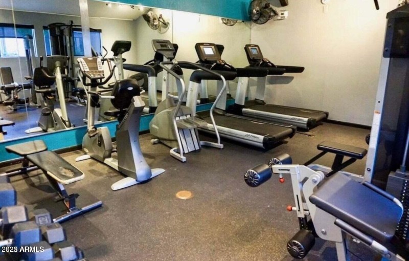 gym
