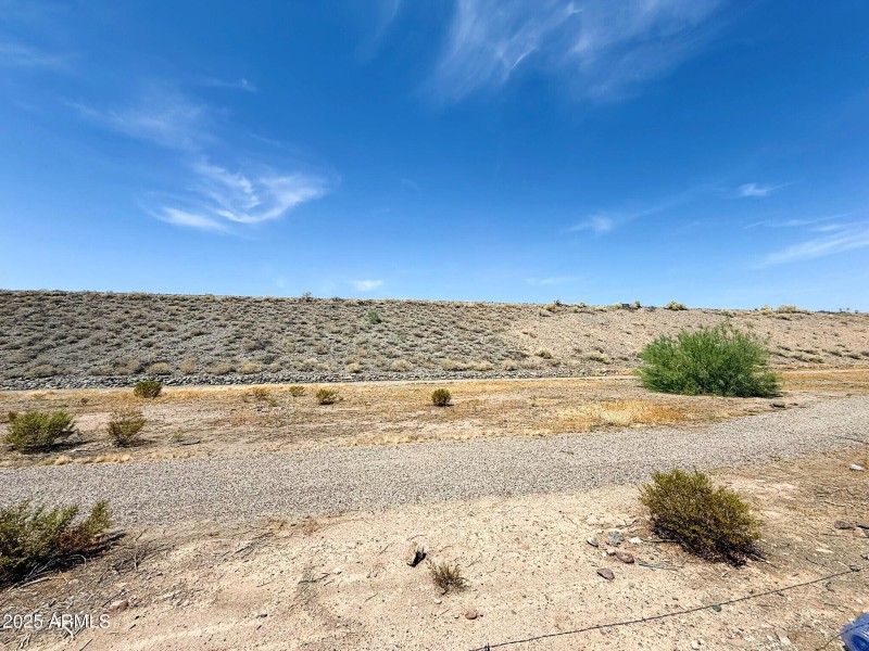Natural Area Behind House