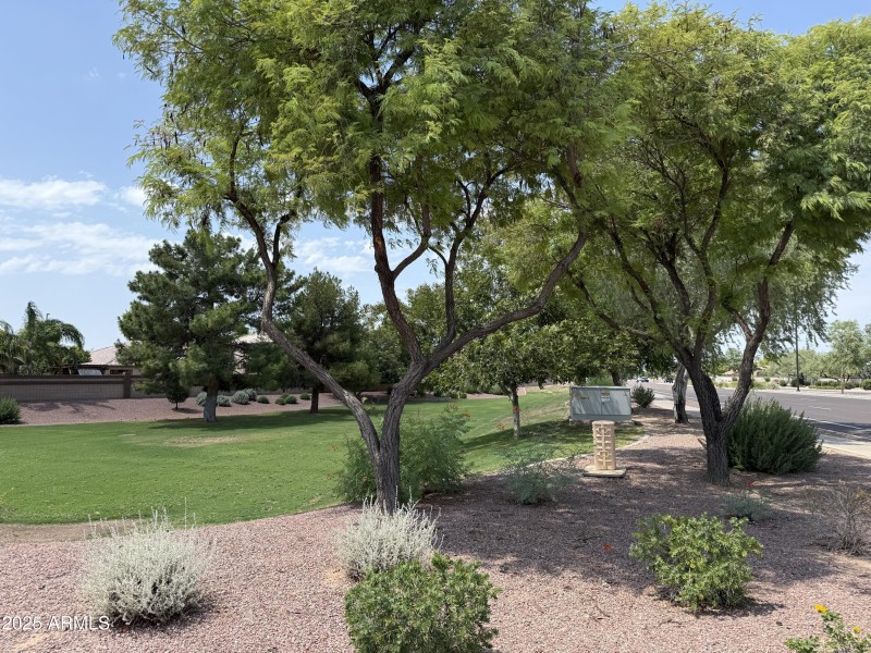 Grass Park Behind Home