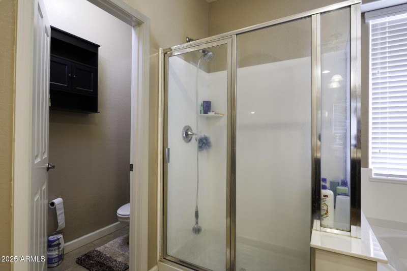 Primary Bath View 1