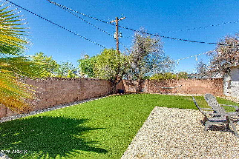 Backyard