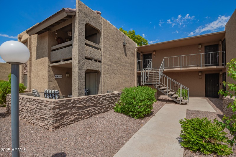01 - Camelback