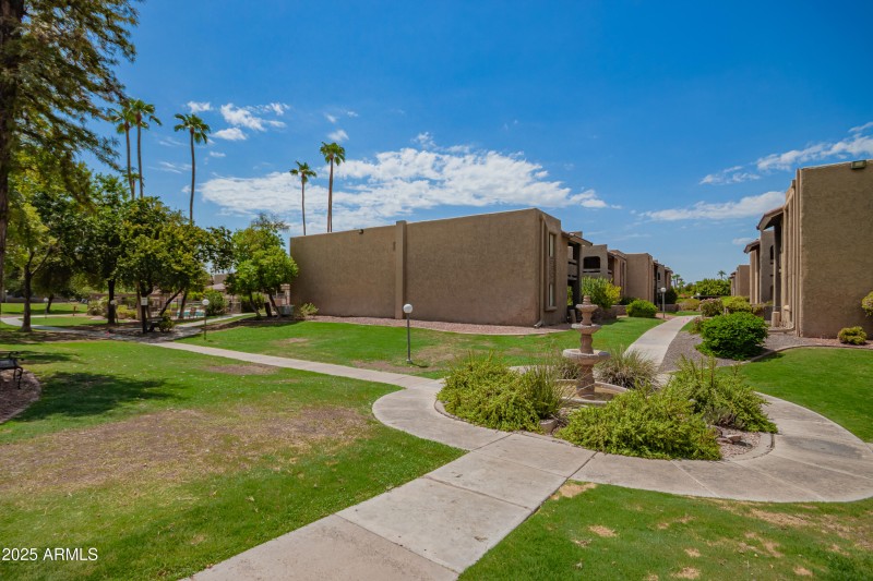 29 - Camelback