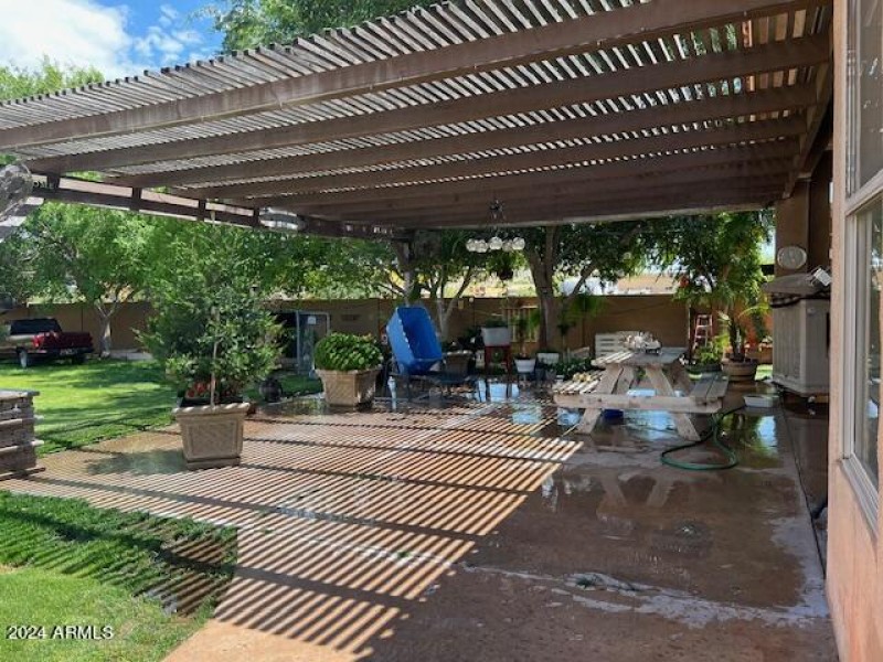 Back Yard 3