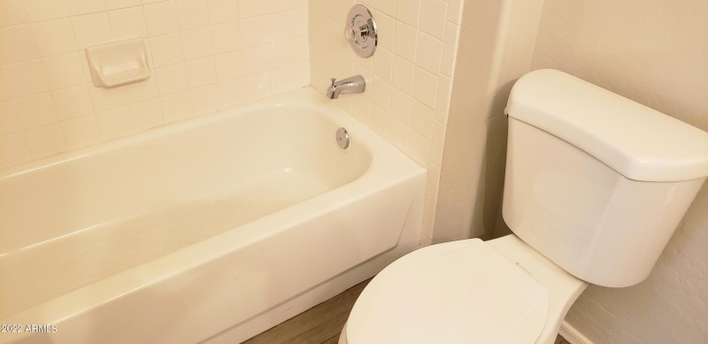 Hall bath tub and shower