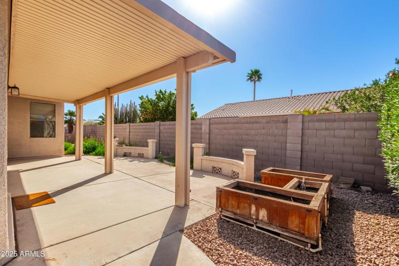 Backyard2