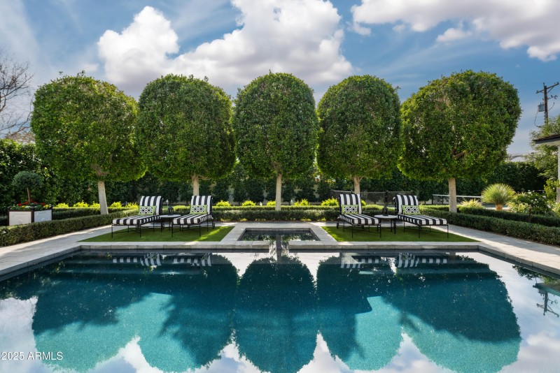 Mature Landscaping