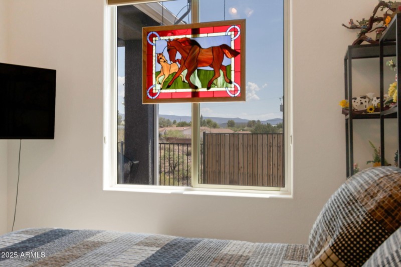 Guest BR 1_View
