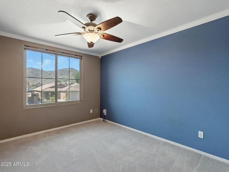 29-web-or-mls-17th-29