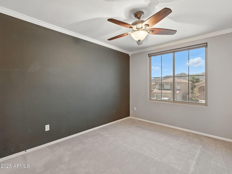 30-web-or-mls-17th-30