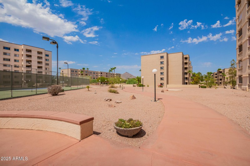 25 - Camelback