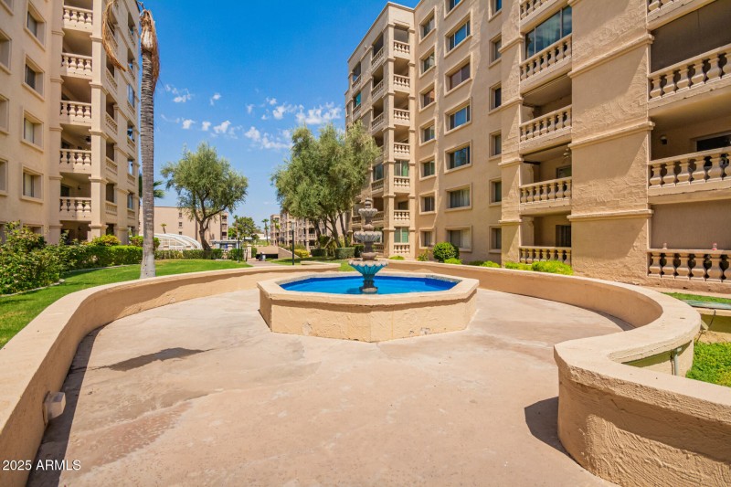 29 - Camelback
