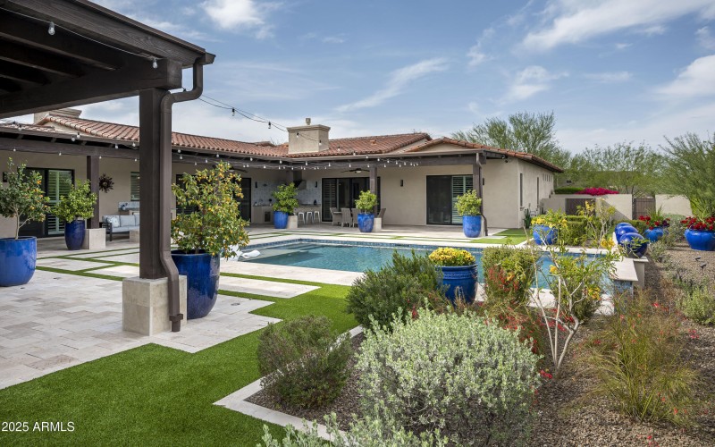 Back Yard / Pool